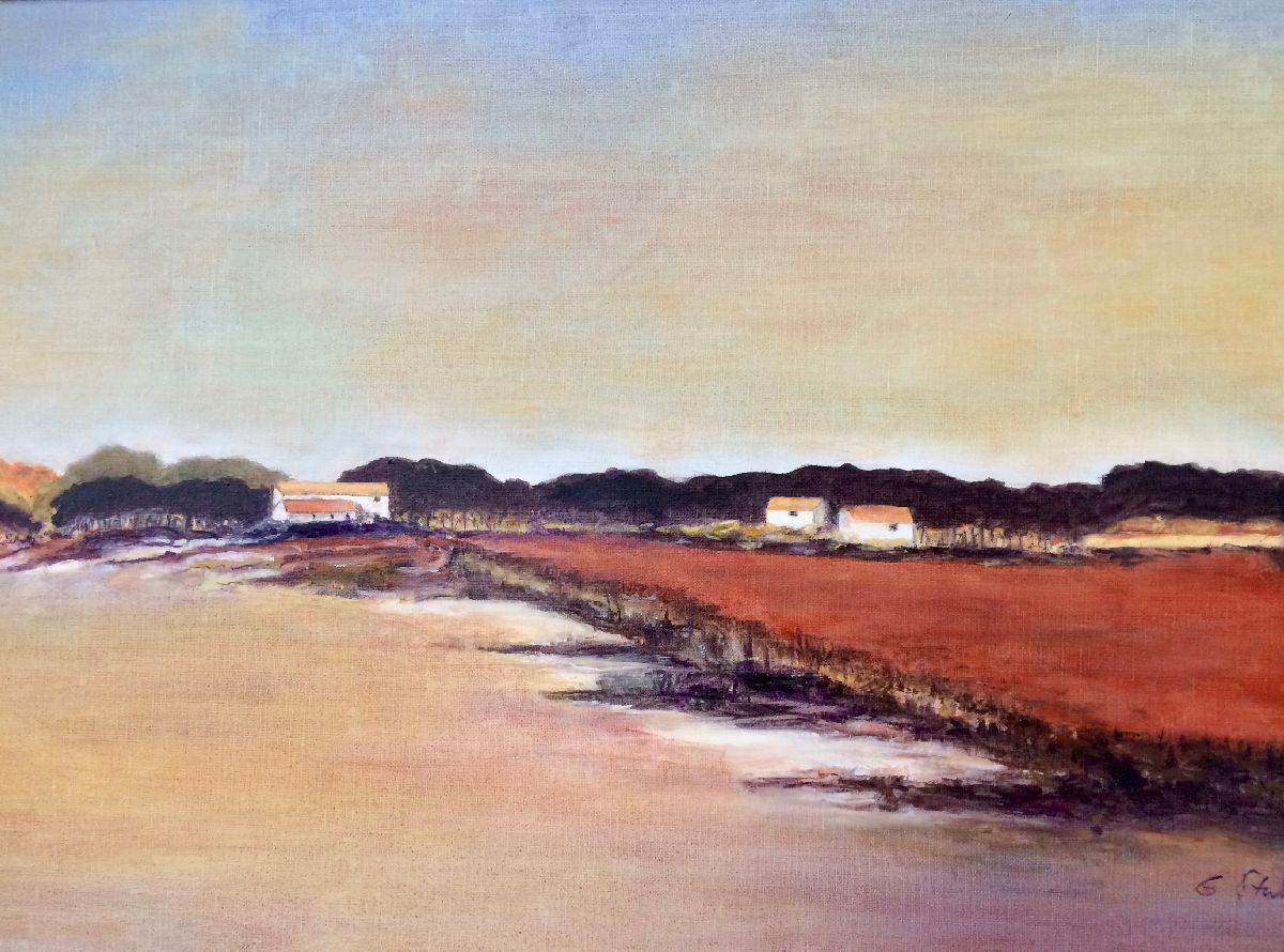 Camargue  nachmittags