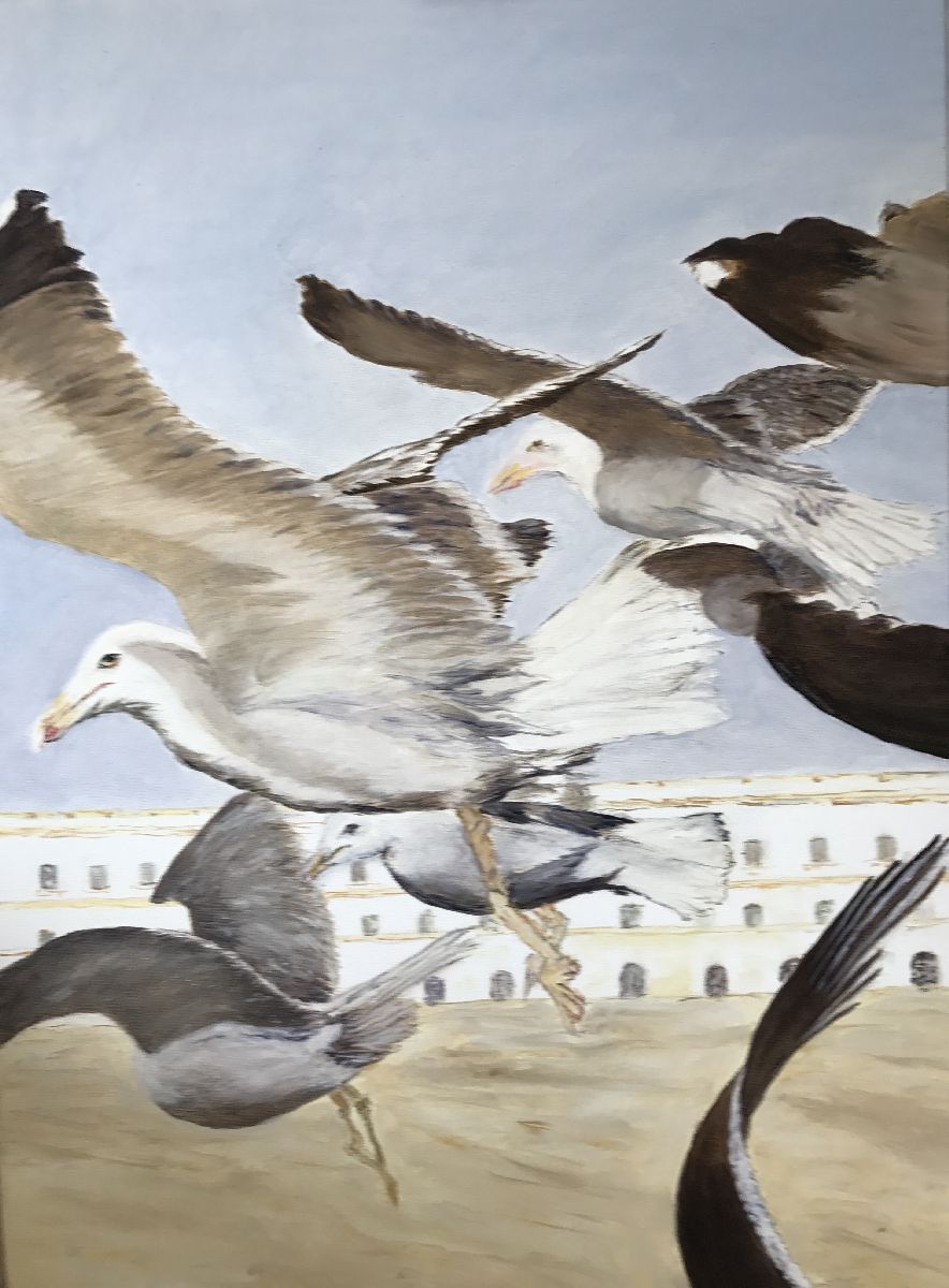 Schräge Vögel
