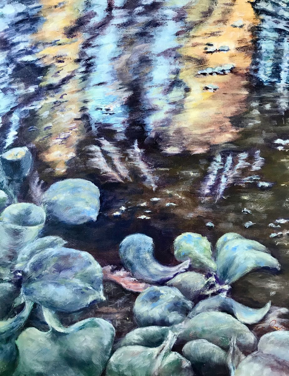 Wasserspiegelungen